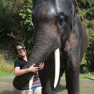 Meet your Posher, Leesa